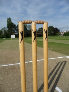 cricket vs remnants001