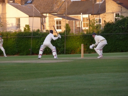 cricket vs remnants068